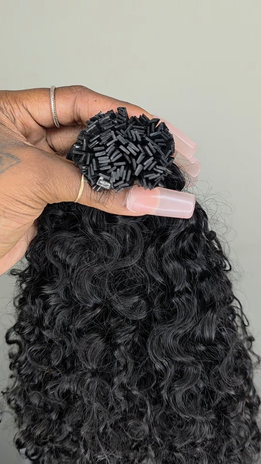 Burmese Curly K-Tips