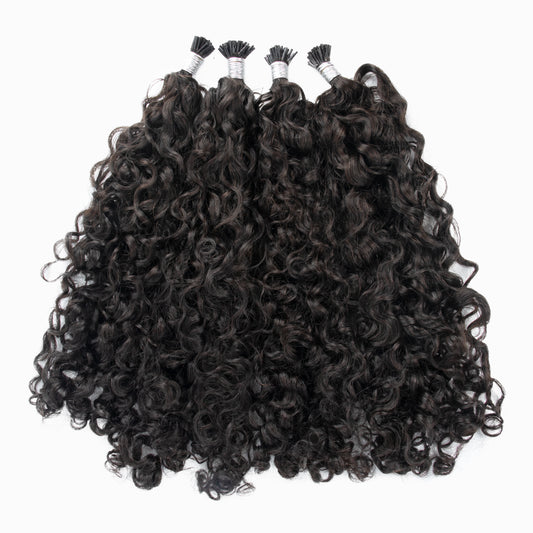 Burmese Curly I-tips