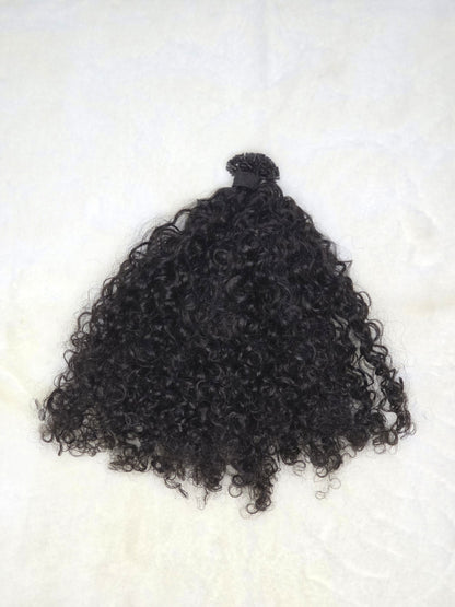 Burmese Curly K-Tips