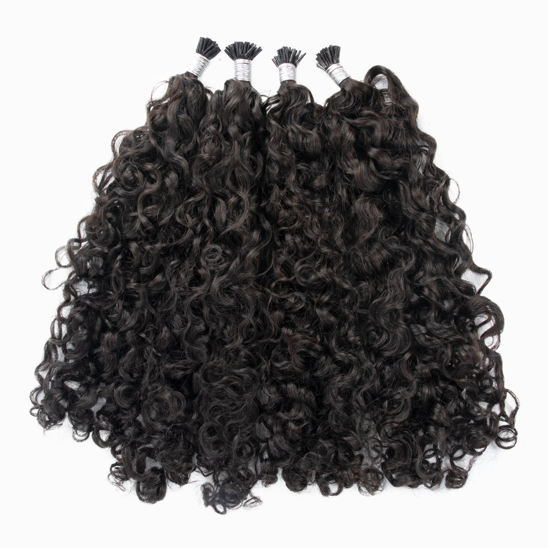 Burmese Curly I-tips