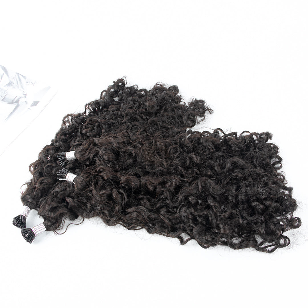 Burmese Curly I-tips