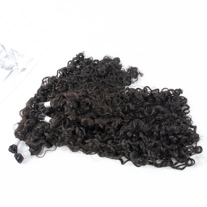 Burmese Curly I-tips