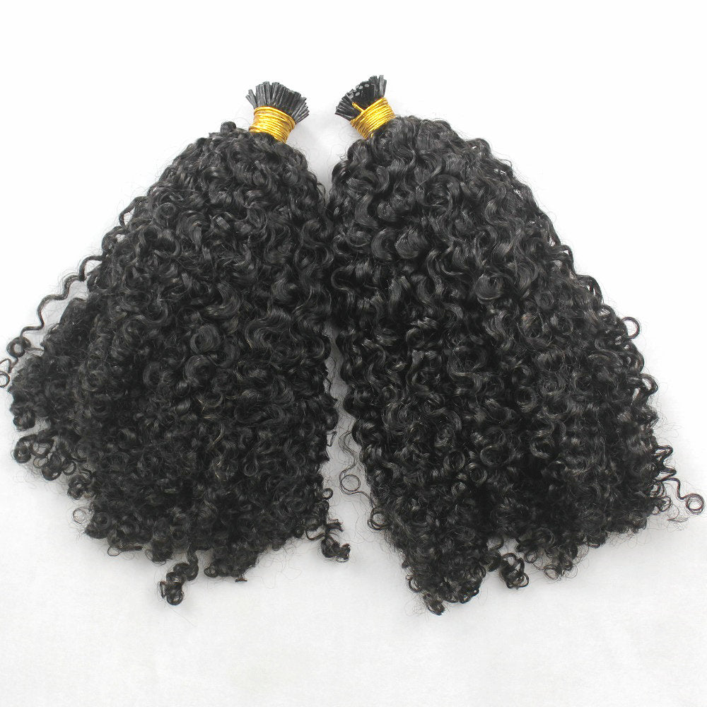 Burmese Curly I-tips