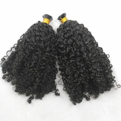 Burmese Curly I-tips