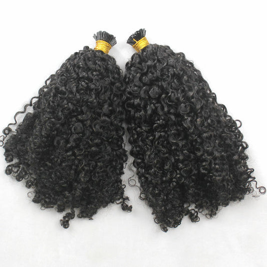 Burmese Curly I-tips